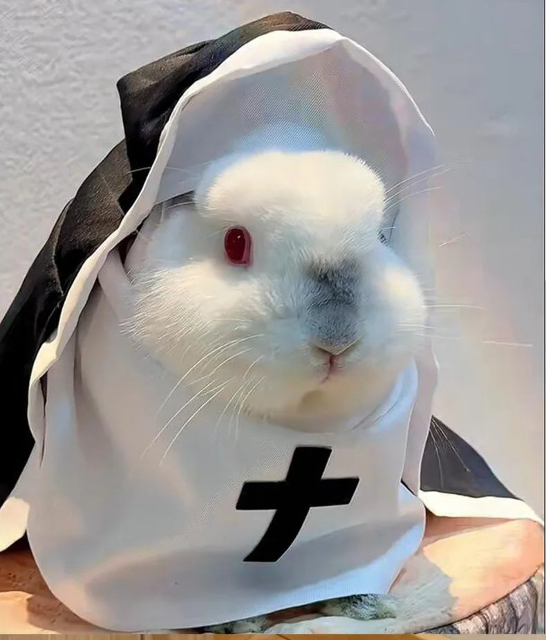Funny Cat & Dog Nun Costume – Small & Medium Pet Cosplay Outfit